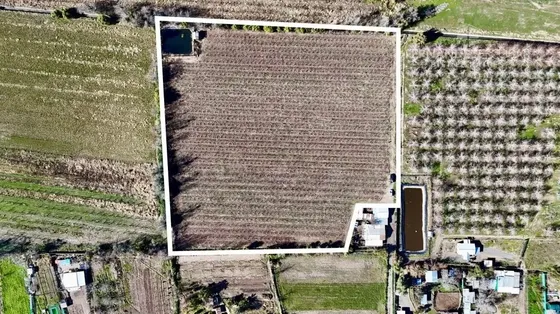 Putaendo - Vende Terreno Rural De 1,95 Ha - Sector Los Patos