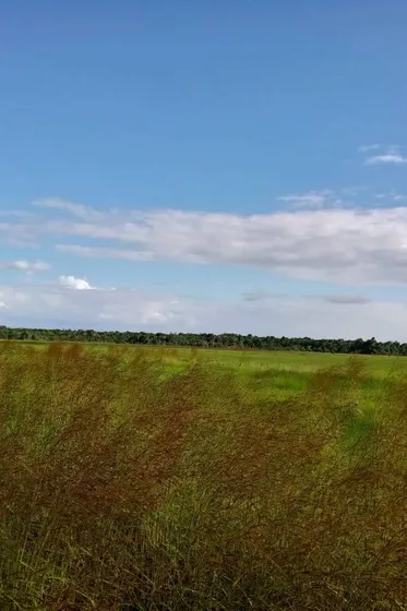 Terreno En La Entrada Al Rincon De Monagas Ve02-1714vs-dced