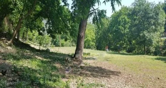 Terreno En Venta En Cola De Caballo, Santiago