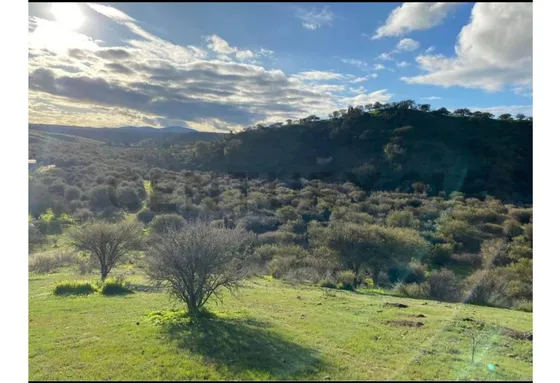 Se Vende Parcela Camino Rapel  Las Tinajas
