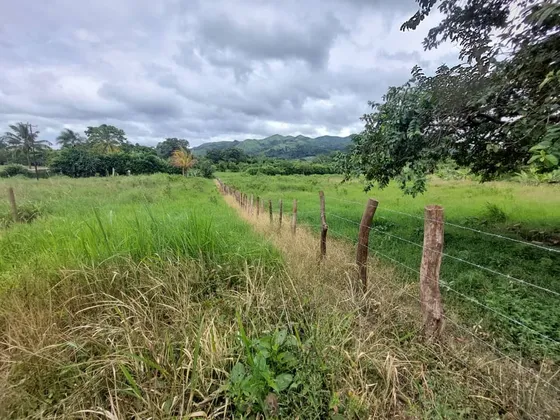(hl28) Vendo Finca En Nirgua 