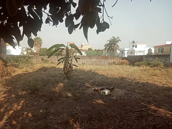 Excelente Terreno Centrico En Jiutepec