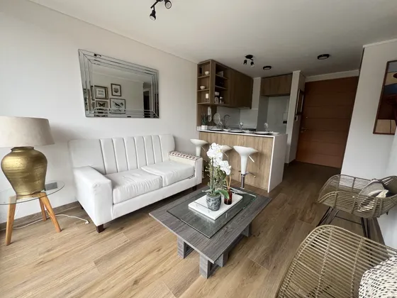 Arriendo Departamento Con Vista En Edificio Chacabuco 852