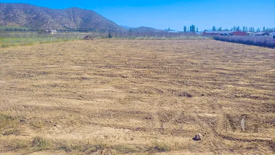 Parcela Proyecto Tricahues, Sector Los Quillayes, Requínoa