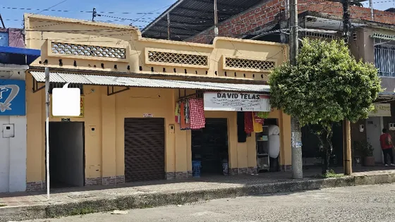 Bien Inmueble De 10 M2 De Frente Por 30 M2 De Fondo 
