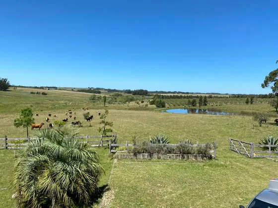 Quinta En Venta En Jose Ignacio