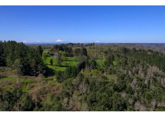 Terrenos 5.000 M² A 20 Min De Osorno, Los Lagos