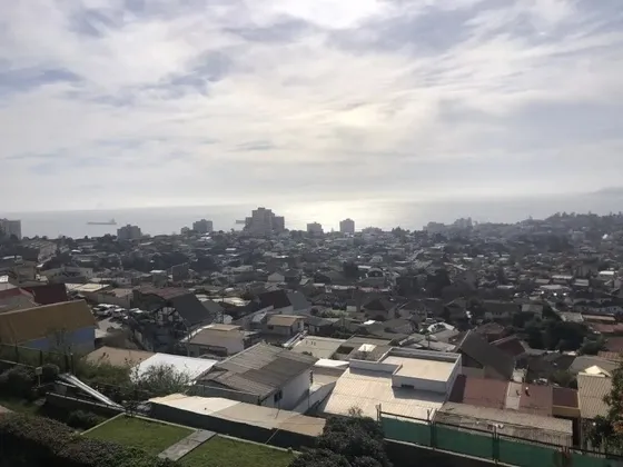 Arrendamos Con O Sin Amoblar