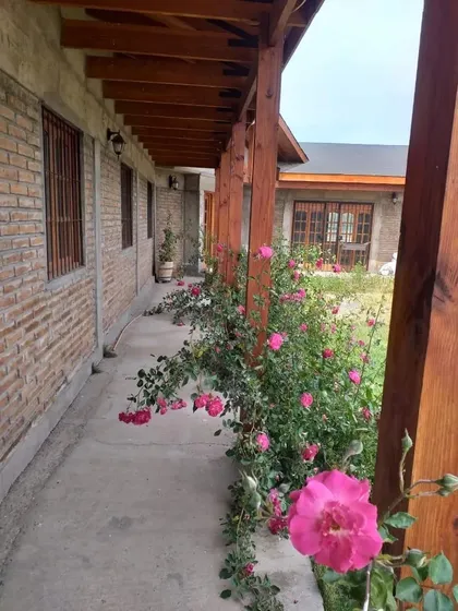 Se Arrienda Parcela Con Hermosa Casa En Camino Carampangue 