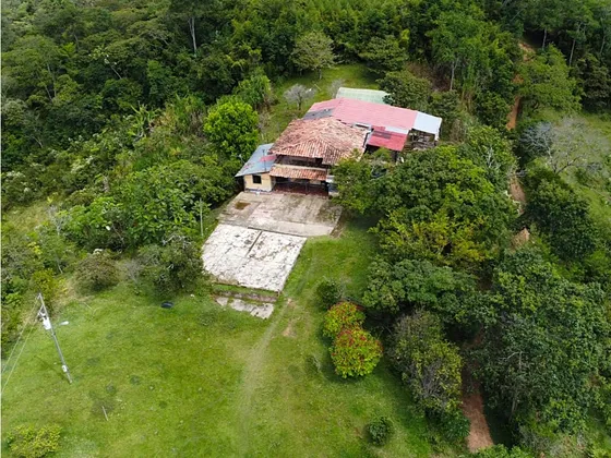 Se Vende Finca De 40 Hectáreas En San Roque, Antioquia 