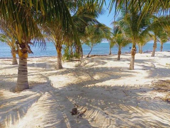 Terrenos De Inversión En Playa Del Carmen
