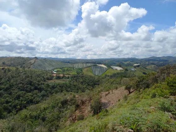 Lote En Venta San Vicente Vereda Ovejas 150 Millones Aru