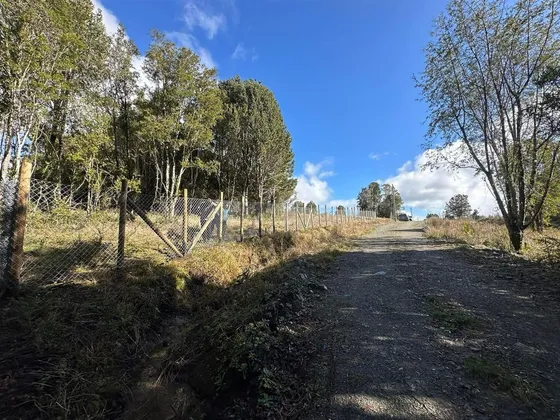 Agrícola En Venta En Castro