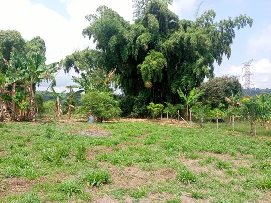 Lote En Venta Vereda San Juanito/santa Rosa De Cabal (279059203).