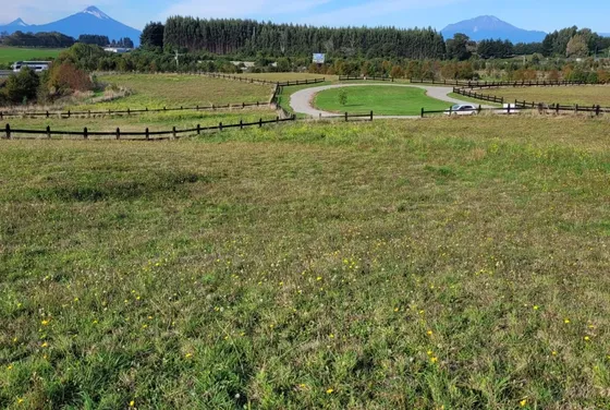 Parcela En Venta En Senderos Del Bosque, Llanquihue