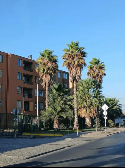 Departamento En Venta En Condominio El Encanto En Maipu