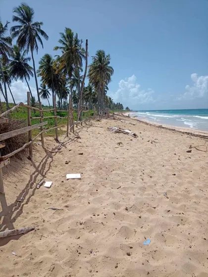 Terreno En Playa Bavaro Punta Cana, 3,120,000 Metros, Con 1,600 Metros De Playa Lineal