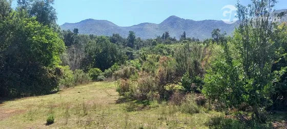 Parcela Ideal Para Proyecto Ecoturismo En Venta En Olmué