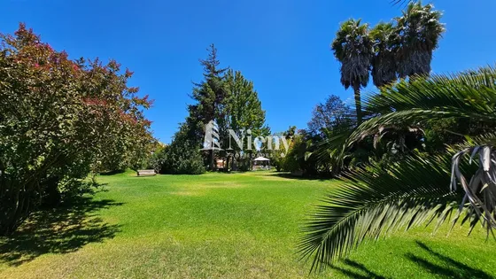 Gran Terreno 8650 M2 En Zona Zr8 Paso Hondo Quilpué