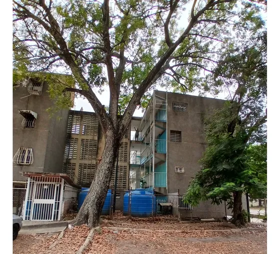 Apartamento En Venta Caña De Azúcar-maracay