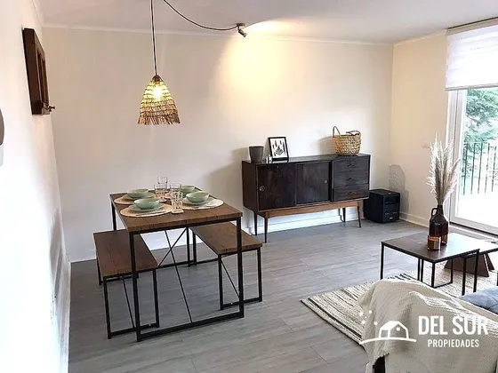 Arriendo Dpto Amoblado (o No) Pasos Del Centro