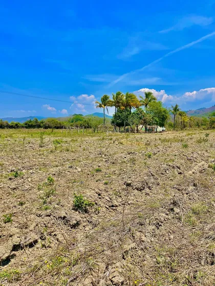 Finca Ideal Para Siembra En Nirgua