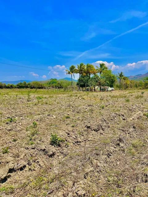 Finca Ideal Para Siembra En Nirgua