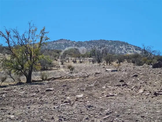 Inversión En Venta En Tiltil. Se Vende Por Lotes
