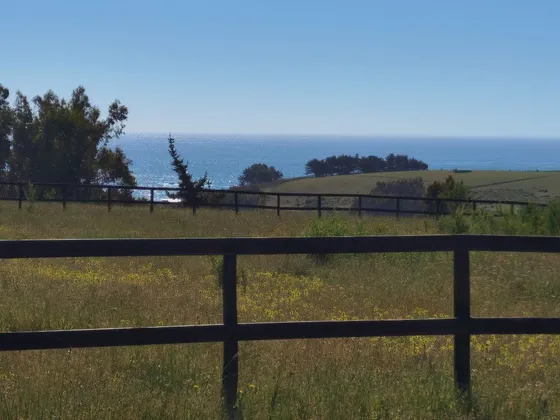 Sitio En Venta En Cobquecura
