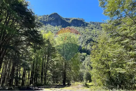 Invierte En Curarrehue: 5000m² Naturaleza Pura