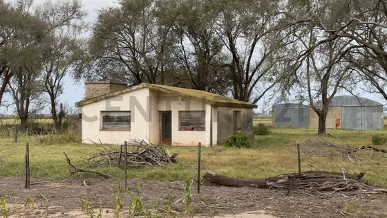 Venta De Campo En General Roca Cordoba