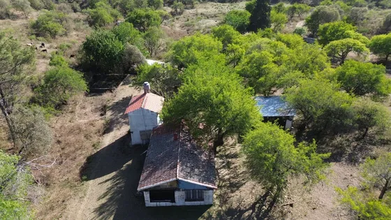 Campo 290 Has Villa Ciudad De America - Ideal Turismo