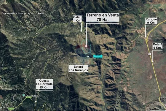 Para Inversionistas 78 Hectáreas En Valle De Caleu
