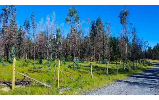 Grace Kelm Vende Parcela 5000 M2, Rol Inscripto,  Acceso Dir