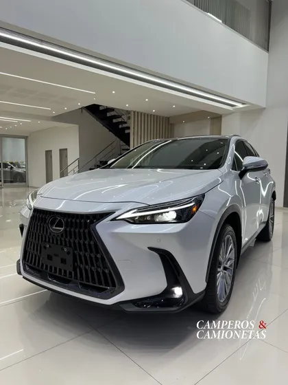 Lexus Nx Luxury