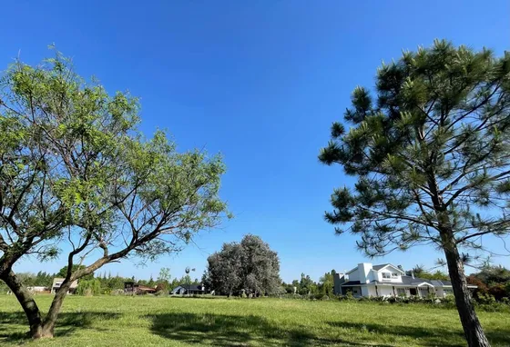 Venta - Lote A La Laguna - La Arbolada De Capilla