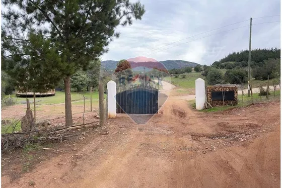 Terreno De 10.000 M2 En Hacienda Panama - Sta Cruz