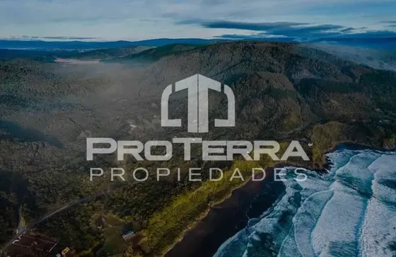 Bosque Nativo, Vertiente Y Mar En Ruta Costera De Valdivia