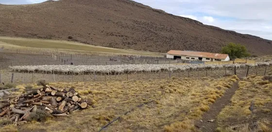 Campo En Venta - 15.000 Hectáreas - Chubut 