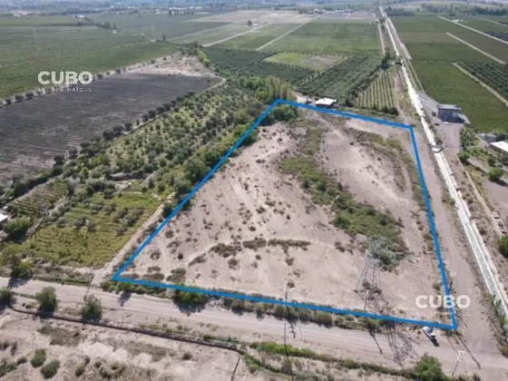 Cubo Vende Oportunidad Campo 3 Hectáreas En Cruz De Piedra Maipú Mendoza