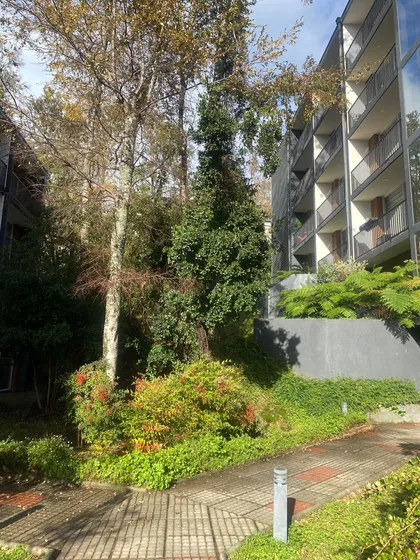 Vendo Dpto Pucon  (98973)