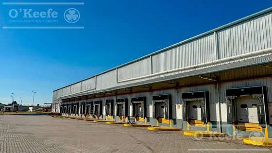 Alquiler - Predio Logistico E Industrial En Garín - Escobar - Gba Zona Norte - 41.500m2 15.500m2 Cubiertos