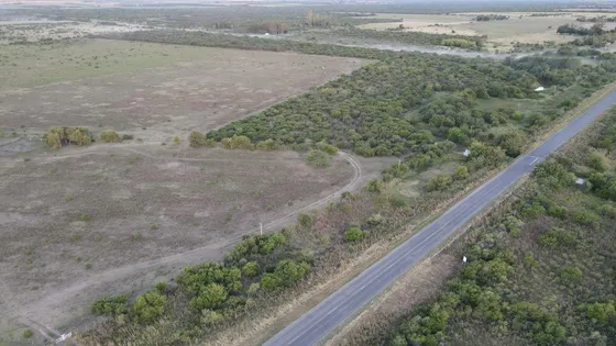 Campo En Venta