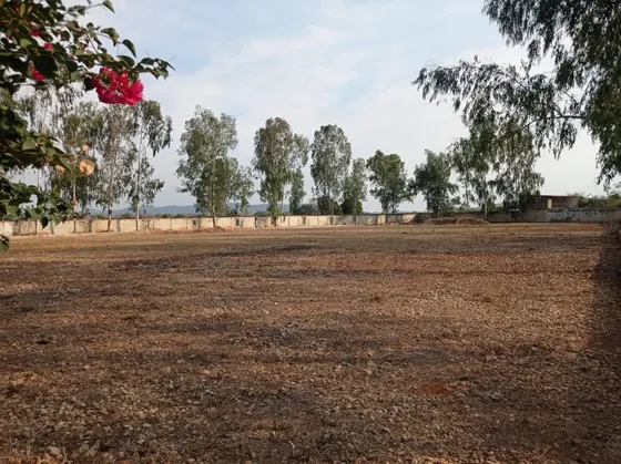 Finca Taguanes Tinaquillo Estado Cojedes. Luisa Mezones Vende.
