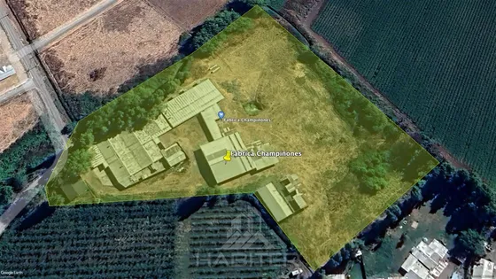 Agrícola En Venta En Comuna Rauco