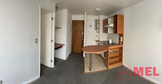 Departamento En Venta De 1 Dorm. En Santiago