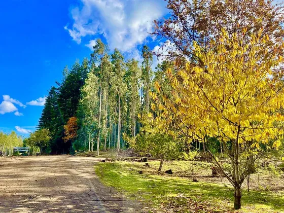 Agrícola En Venta En Temuco