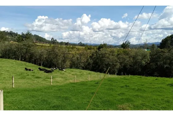 Lote En Venta En Vereda Pantanillo. Cod V50477