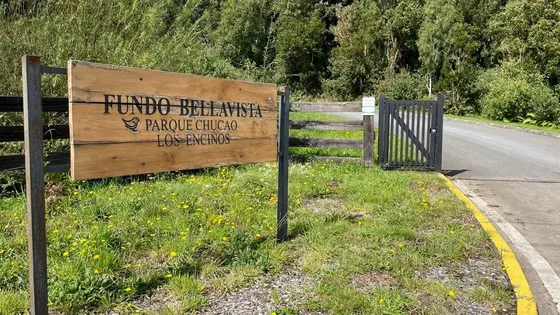 Parcela En Venta En Puerto Varas