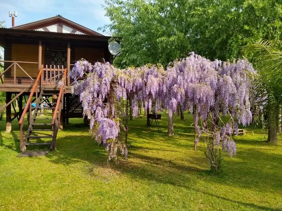Dos Cabañas En Venta En Arroyo La Horca. Con Escritura.